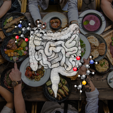 Digestión y nutrición