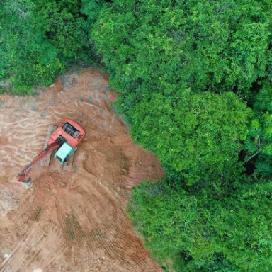 Biomas, clima y biodiversidad