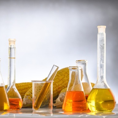 Biomateriales: los componentes de la vida