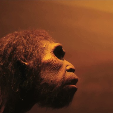 Evolución humana, ¿de dónde venimos?