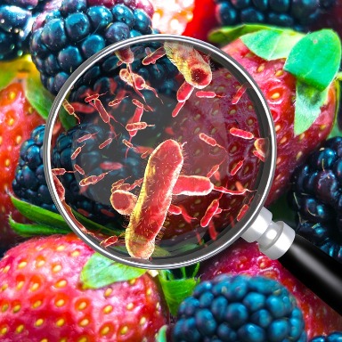 El fascinante mundo de los microbios