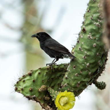 ¿Cómo evolucionan los seres vivos?